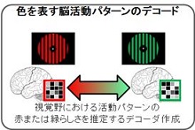 色を識別できるデコーダを作成