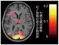 情報伝達の強さ