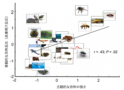 主観的な恐怖の強さ