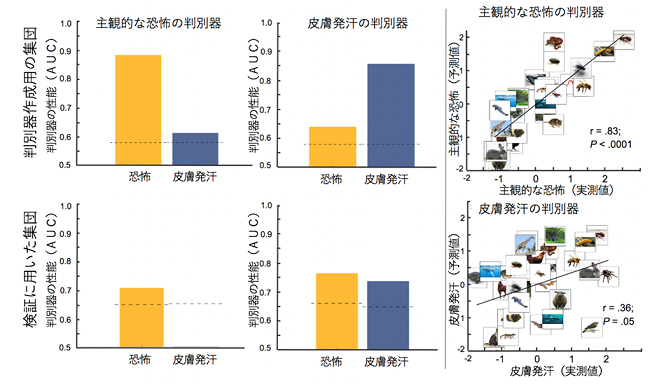 主観的と客観的な恐怖の判別器の交差検証さ