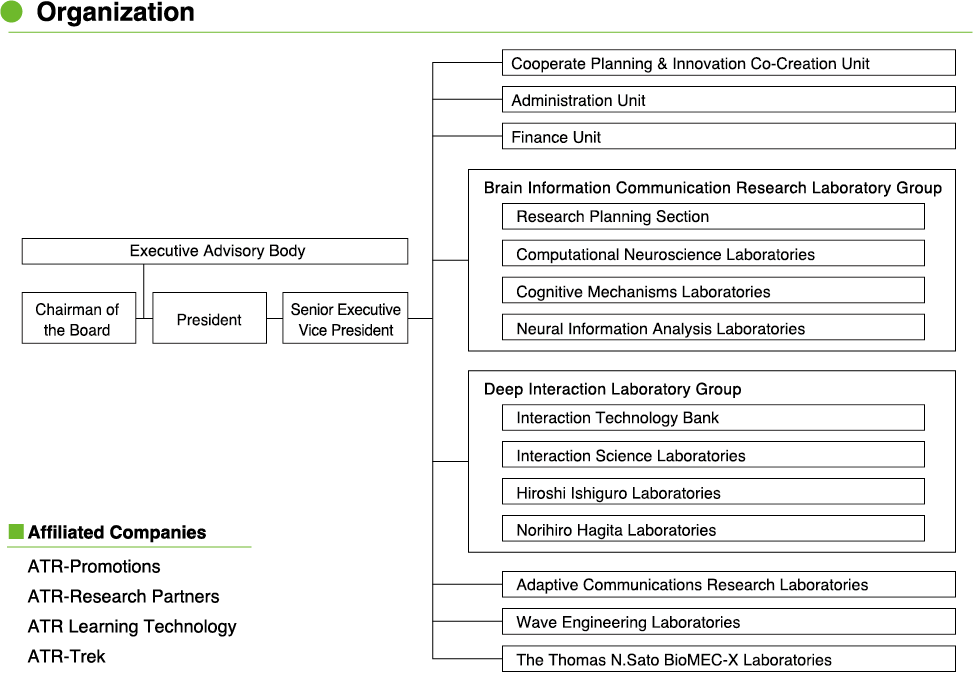 Organization Chart
