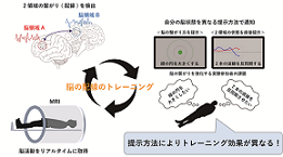 脳の配線トレーニング～フィードバック提示方法の影響～