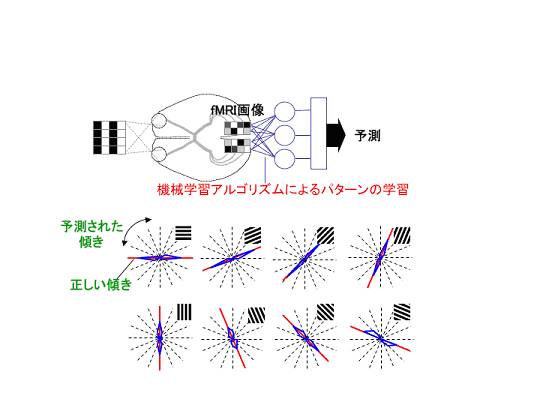 視覚入力のデコーディング