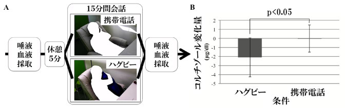 実験情報と血中コルチゾールの変化