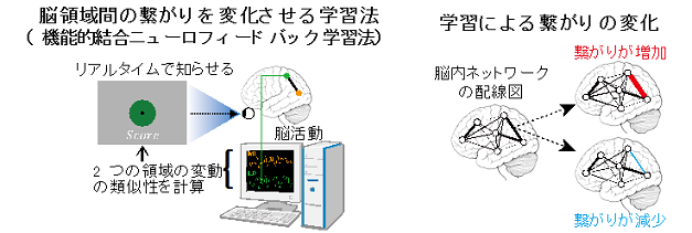 Atr 株式会社 国際電気通信基礎技術研究所