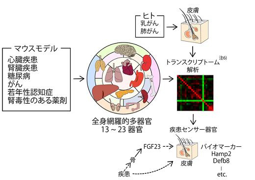 参考図