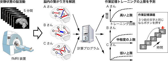 図1　作業記憶力予測アルゴリズムの構築方法