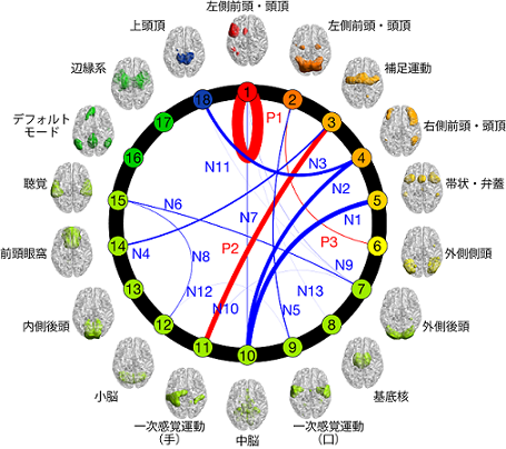 図2　作業記憶力予測に関わる16種類の脳結合