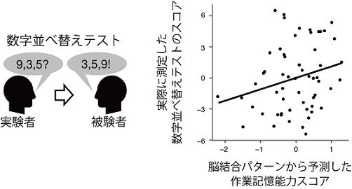 図3　統合失調症患者58名における、脳結合から作業記憶力予測値と数字並べ替えテストスコア実測値の散布図