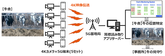 実験の構成図