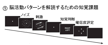 視覚刺激（ランダムドットパターン）の動きの向きの知覚判断とその確信度評定