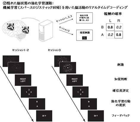 主な実験のデザイン：意識下の脳状態で決まる最適行動を強化学習する